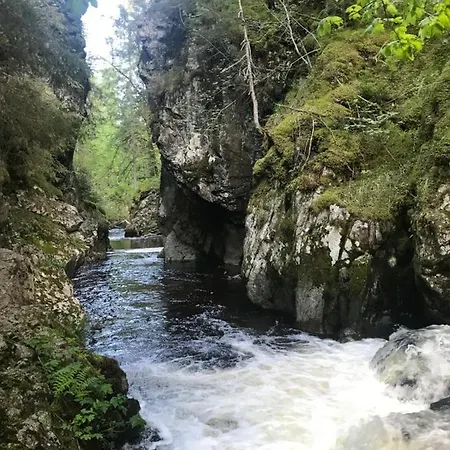 Am Hirtenpfad