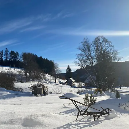 Am Hirtenpfad Apartment
