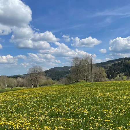 Am Hirtenpfad * Lenzkirch